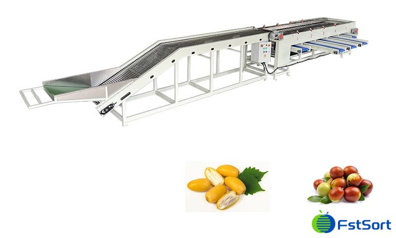 images/1688371909200dates sorter.jpg